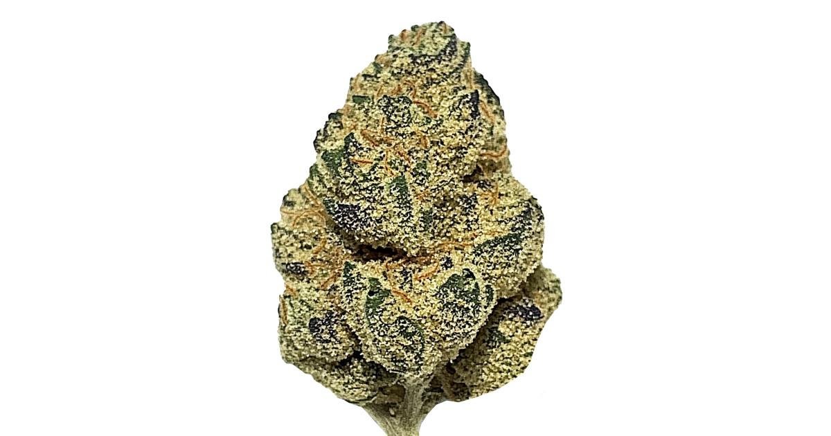 Gas Monkey Strain