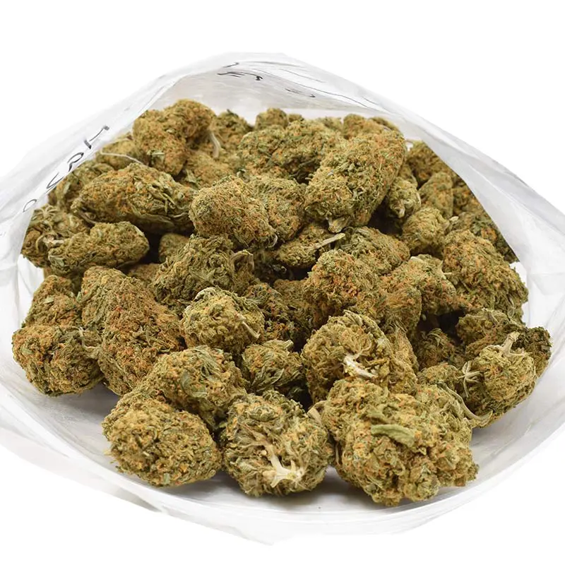 g13 haze