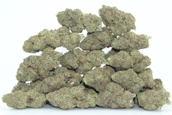 gelato 41 strain
