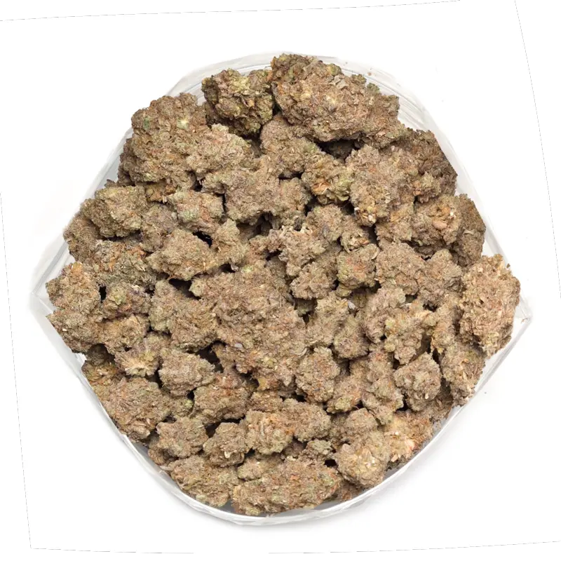 Gelonade Strain