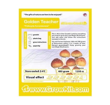 Golden Teacher Magic Mushroom Paddo Grow Kit - Image 2