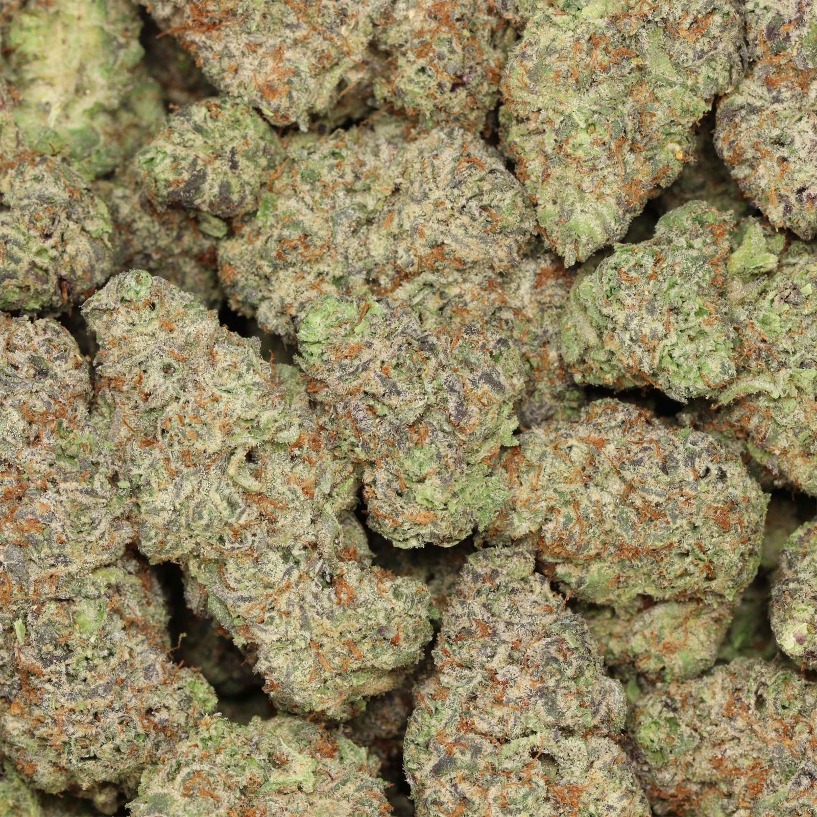 Grape Gasoline