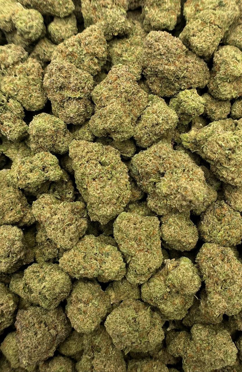 Jokerz Candy Strain