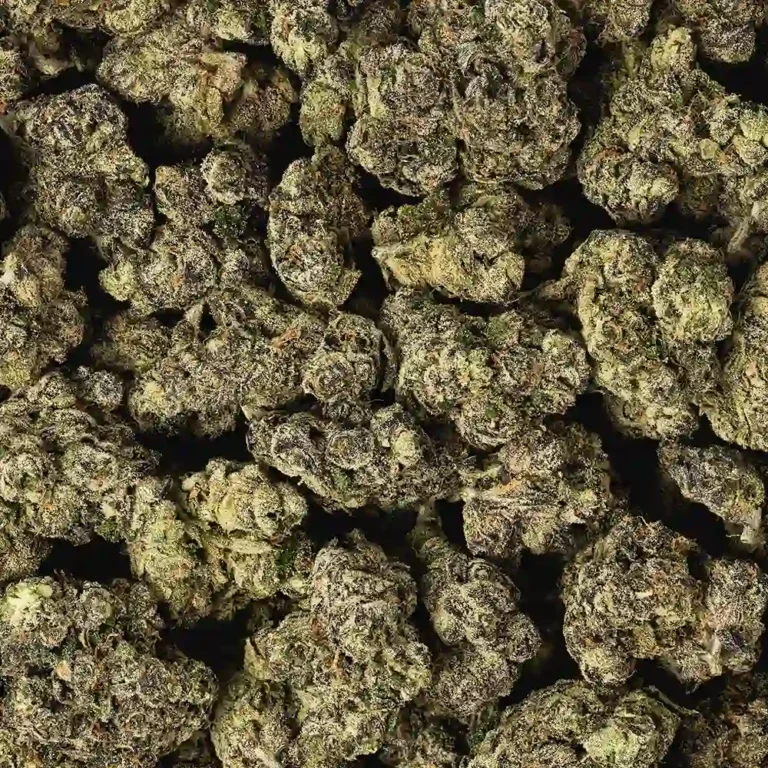trop cherry strain