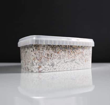 Golden Teacher Magic Mushroom Paddo Grow Kit - Image 3