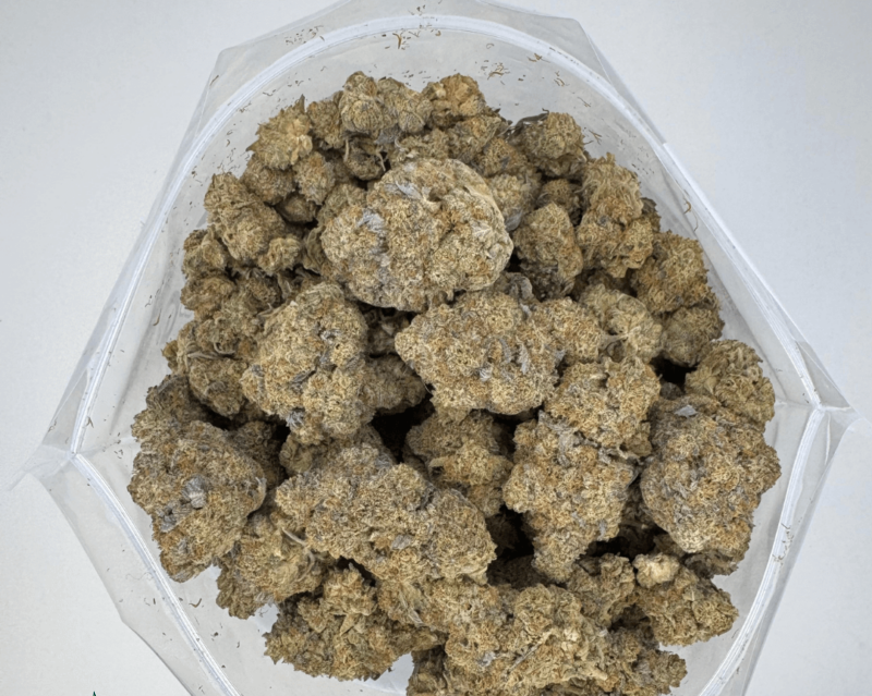 Pure Michigan (AAAA)