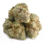 z33 strain - Image 2
