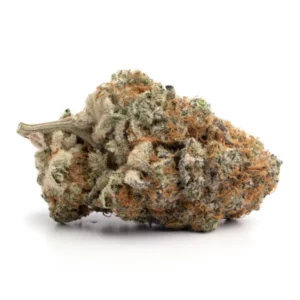 Dragonfly Flower 28g PURPLE MILK