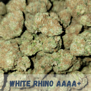 White Rhino AAAA+ (27% THC)