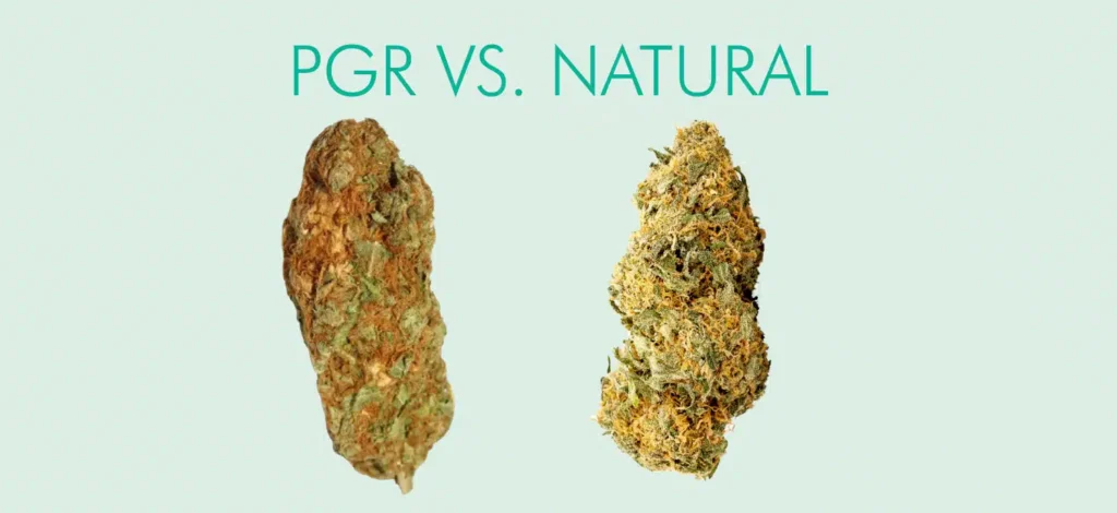 pgr weed