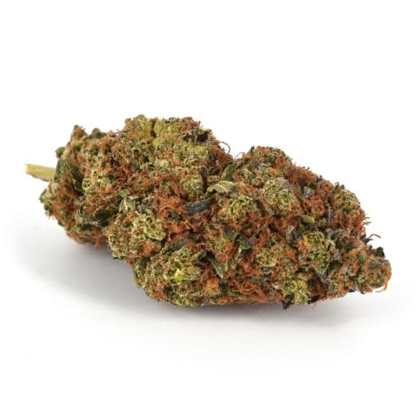 Girl Scout Cookies