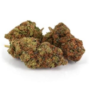 Girl Scout Cookies