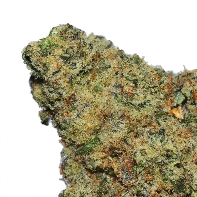 mule fuel strain - Image 2