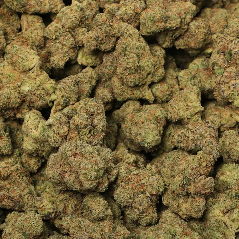 mule fuel strain
