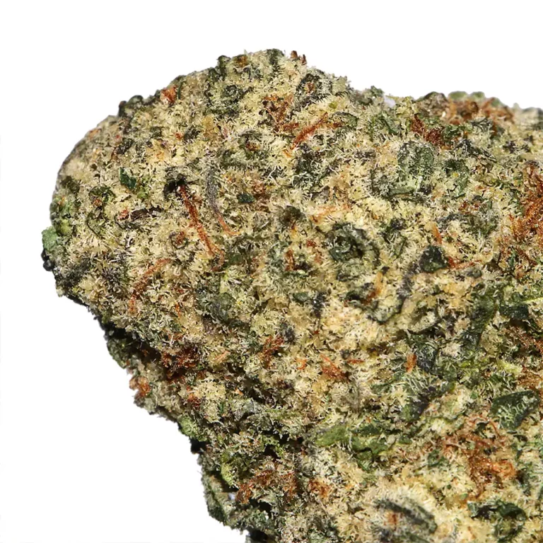 watermelon mimosa strain - Image 2