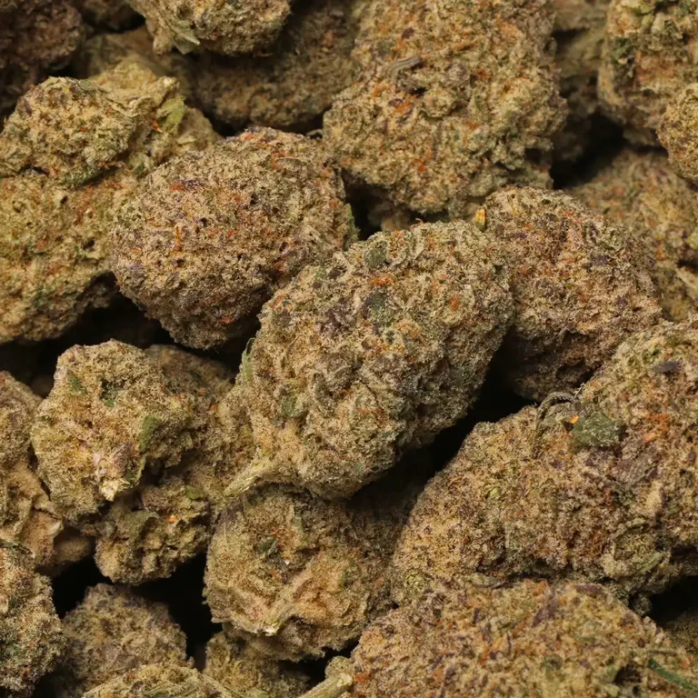 watermelon mimosa strain