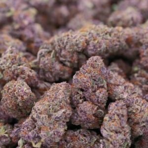 Blackberry Kush