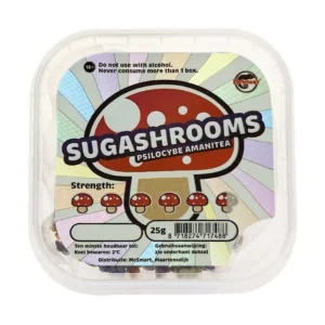 Magic Mushrooms Kopen