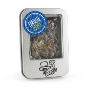 magic mushroom grow kit