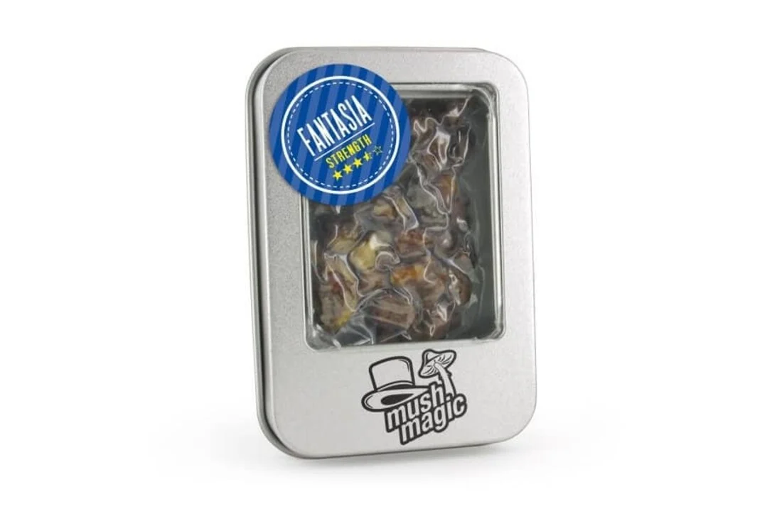magic mushroom grow kit