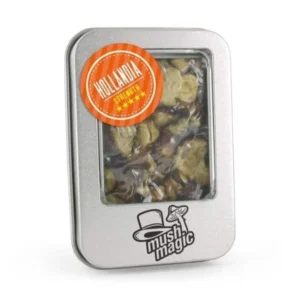 hollandia magic truffle