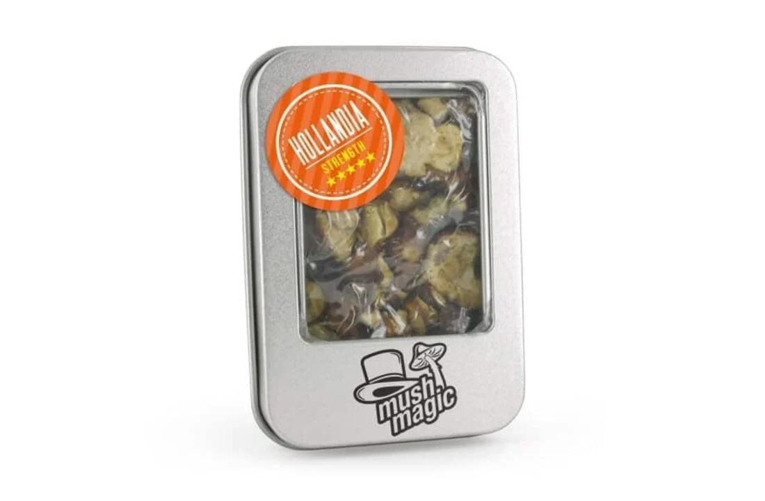 hollandia magic truffle