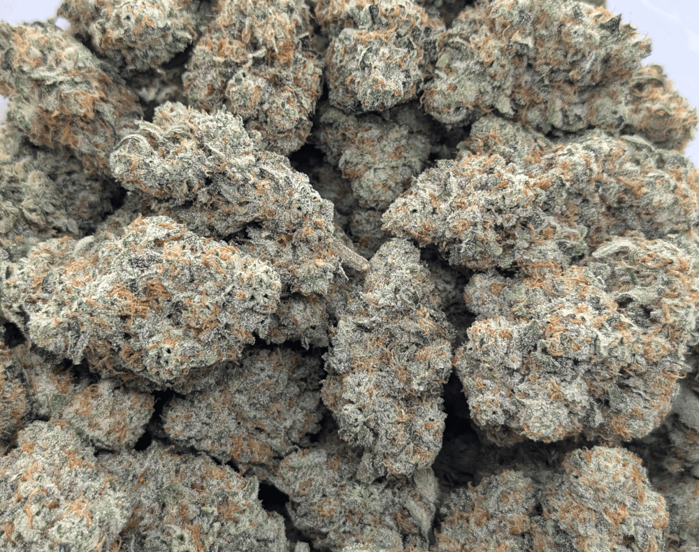 strawberry guava strain