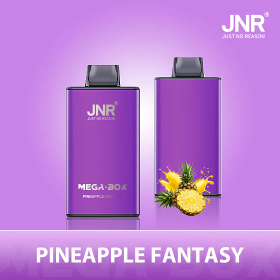 JNR Mega Box 25000